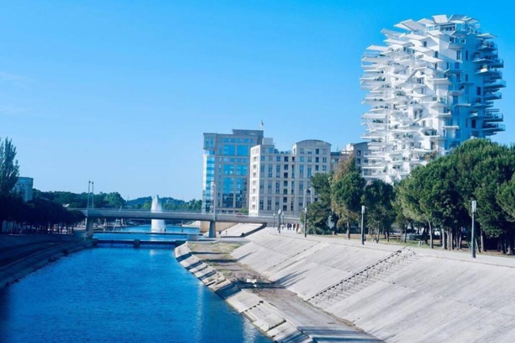 מונפלייה Appartement T2 A L'Arbre Blanc מראה חיצוני תמונה