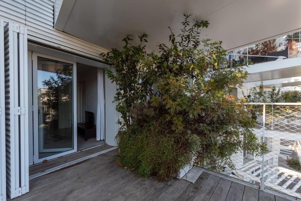 מונפלייה Appartement T2 A L'Arbre Blanc מראה חיצוני תמונה